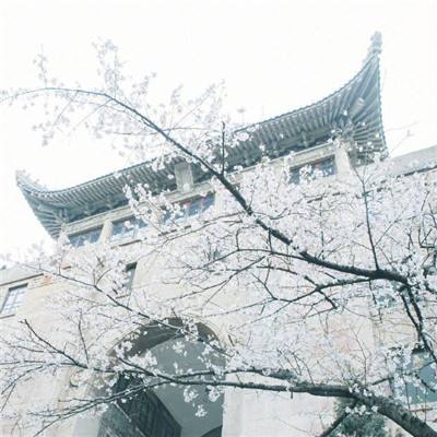 1956年-中国科学院学部成立